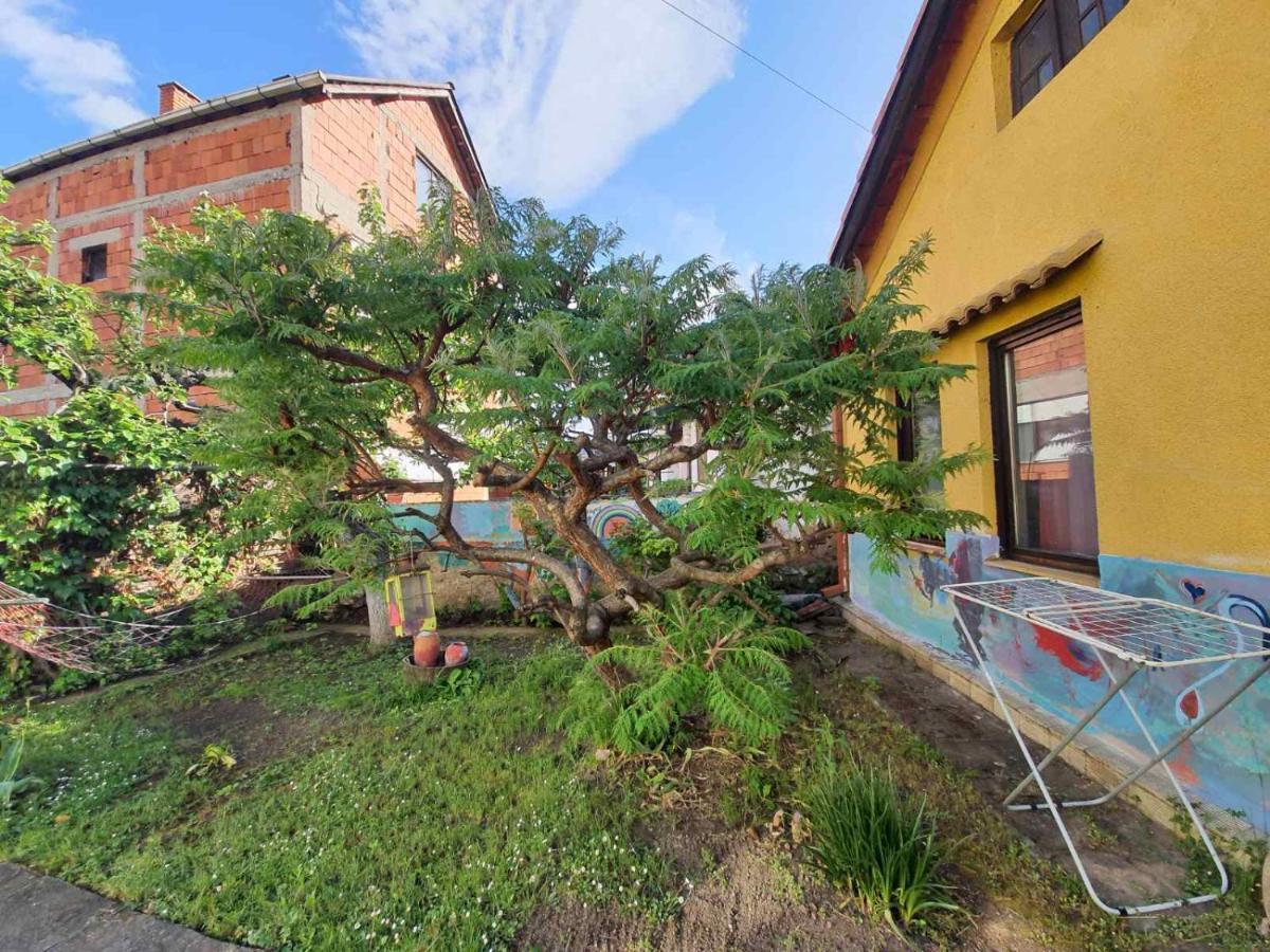 Appartement Garickina Kuca à Pirot Extérieur photo