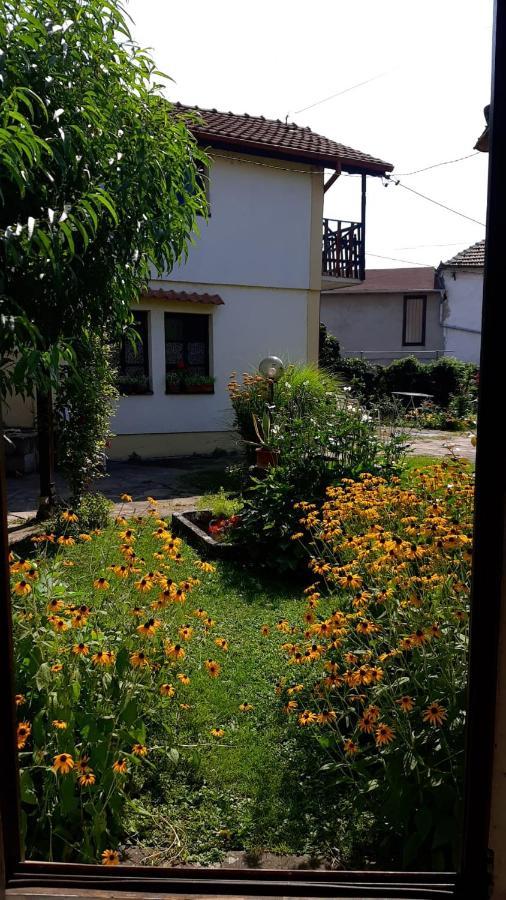 Appartement Garickina Kuca à Pirot Extérieur photo