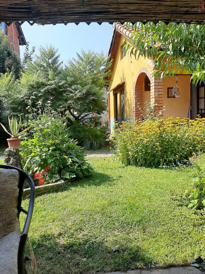 Appartement Garickina Kuca à Pirot Extérieur photo