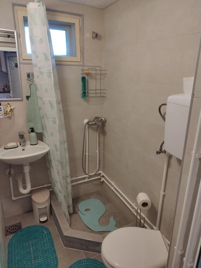 Appartement Garickina Kuca à Pirot Extérieur photo